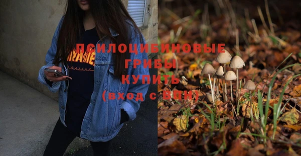 винт Кинешма